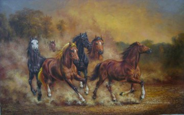 amc0024D13 動物の馬 Oil Paintings